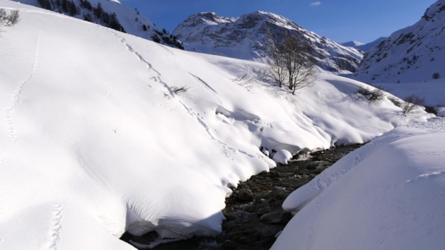 Les traces et le lieu de l'accident. (Radio TV Val d'Isere) Les traces et le lieu de l'accident. (Radio TV Val d'Isere)