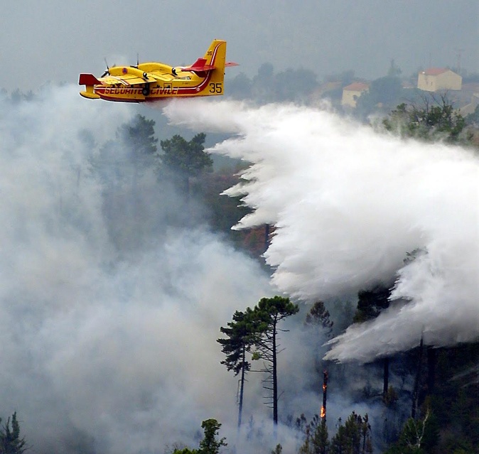 Incendie à Zalana : une dizaine d’hectares déjà touchés Incendie à Zalana : une dizaine d’hectares déjà touchés