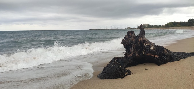 La plage de Sulinzara après la pluie (François-Marie Luciani)