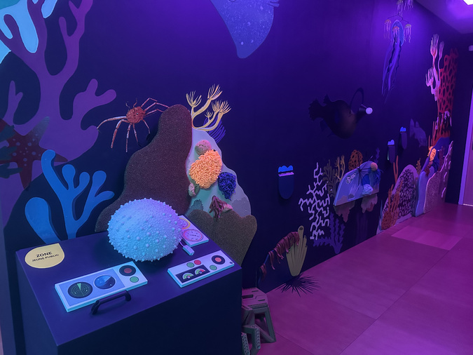 À Bastia, une plongée immersive dans les secrets des canyons sous-marins