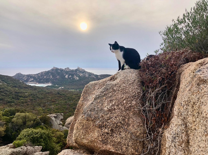 A màghjina - U misgiu di Roccapina A màghjina - U misgiu di Roccapina