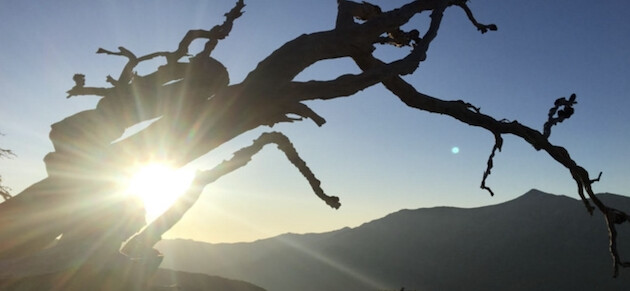 U tempu in Corsica U tempu in Corsica