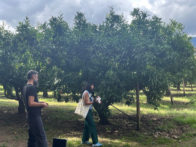 Les élèves du lycée agricole de Borgo formés à la lutte contre les ravageurs des agrumes Les élèves du lycée agricole de Borgo formés à la lutte contre les ravageurs des agrumes