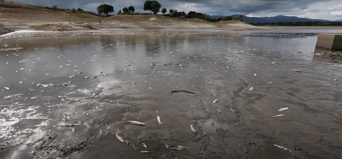 Capture d'écran - Vidéo : François Casanova Capture d'écran - Vidéo : François Casanova