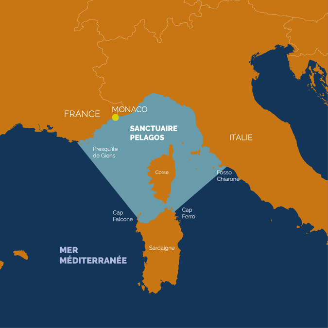 Le Sanctuaire Pelagos