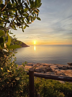 (Photo Pétrus Arrighi) (Photo Pétrus Arrighi)