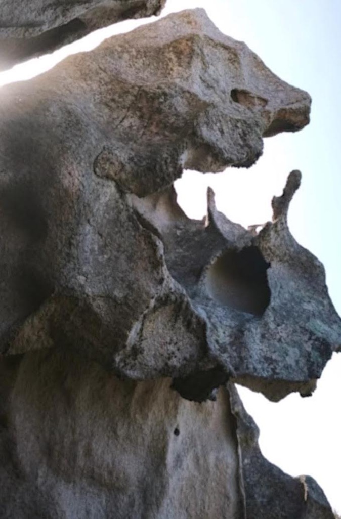 A màghjina - À Roccapina, ùn ci hè micca solu u Leone !  