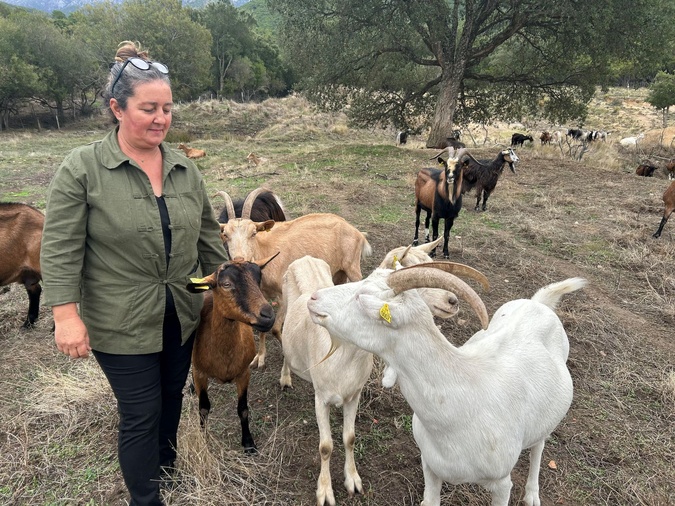 À Peri, Géraldine Gavarini nous ouvre les portes de sa bergerie 