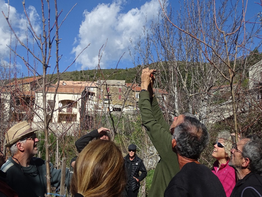 Mazzola : Un verger conservatoire pour les pommiers anciens