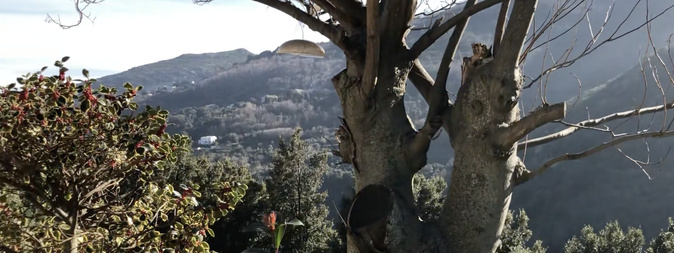 Sorry! Image not available at this time