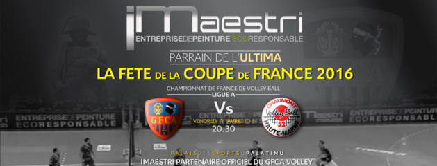 Volley-Ball : Place à la fête avec GFCA-Chaumont au Palatinu ! Volley-Ball : Place à la fête avec GFCA-Chaumont au Palatinu !