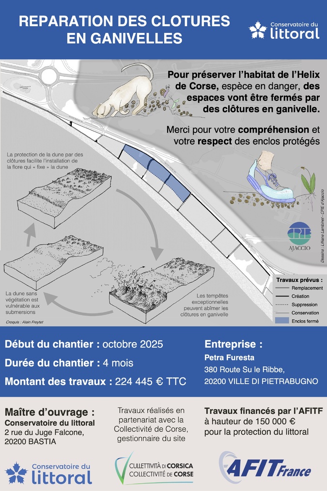 Ajaccio : au Ricanto, les travaux débutent pour restaurer le dispositif de protection de la lande Ajaccio : au Ricanto, les travaux débutent pour restaurer le dispositif de protection de la lande