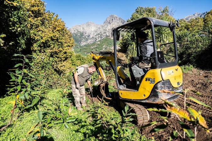 Les jeunes châtaigniers de Bocognano prêts à prendre racine Les jeunes châtaigniers de Bocognano prêts à prendre racine