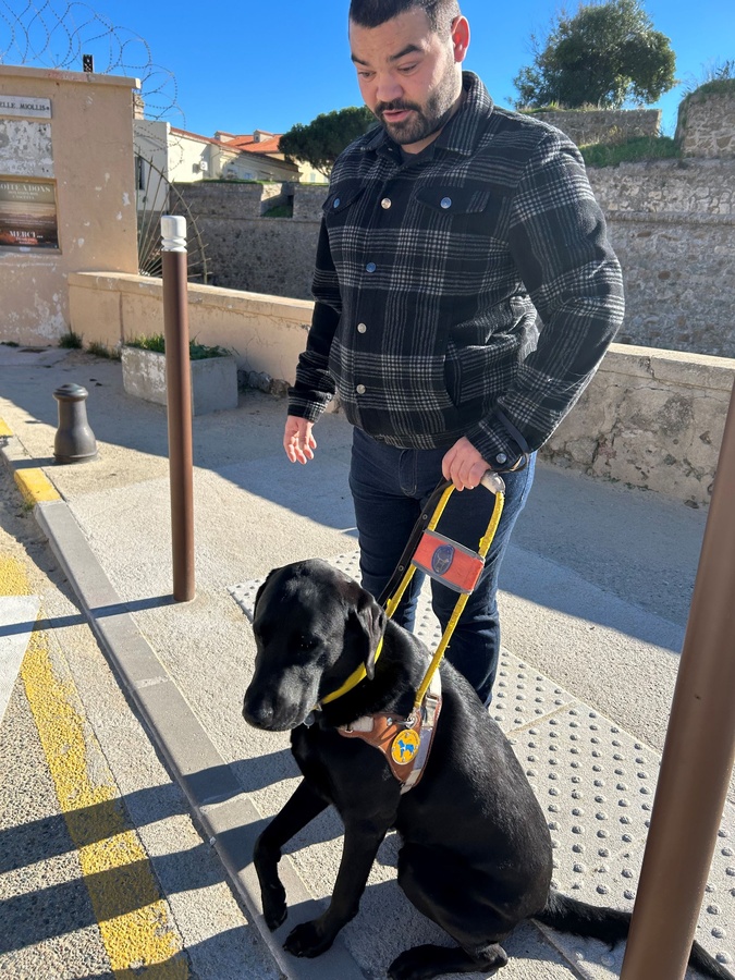Tony et Scoobidou cherchent des bénévoles pour la nouvelle antenne corse des Chiens Guides d’Aveugles