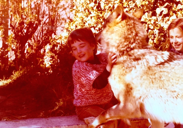 Le loup de Biguglia ! Le loup de Biguglia !