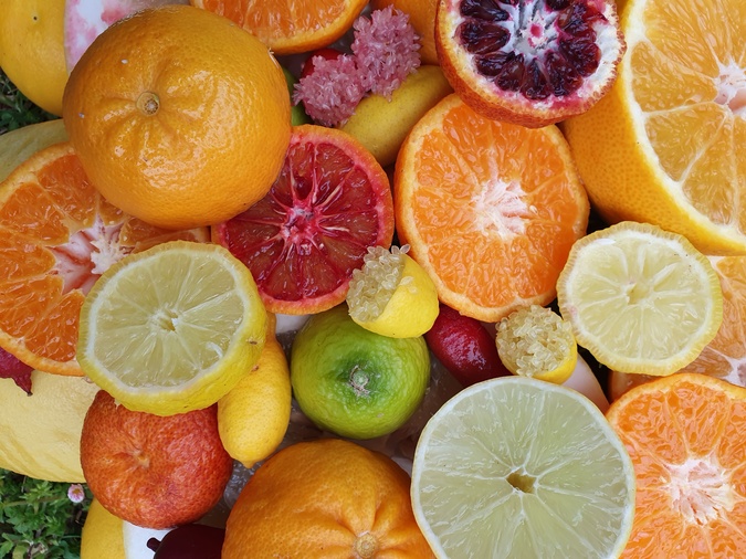 INRAE de San Ghjulianu - Préserver les variétés d'agrumes pour les générations futures