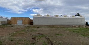 INRAE de San Ghjulianu - Préserver les variétés d’agrumes pour les générations futures INRAE de San Ghjulianu - Préserver les variétés d’agrumes pour les générations futures