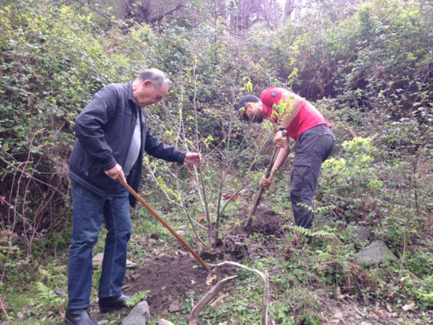 Pianellu : Les hommes qui plantaient les arbres