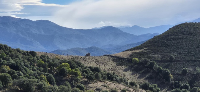 (Françoise Geronimi)