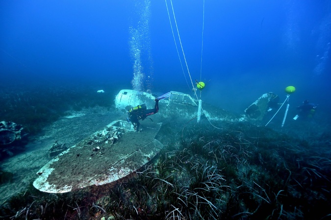 credit photo : Alain Touzet - Collectivité de Corse, Corse images sous marines credit photo : Alain Touzet - Collectivité de Corse, Corse images sous marines