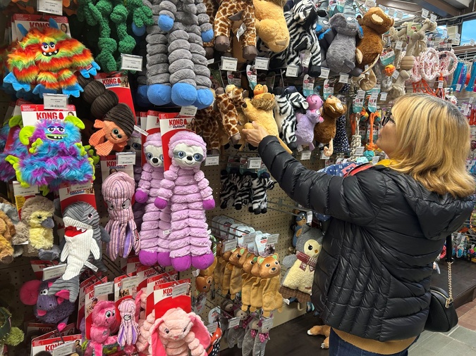 En décembre, chez Gamm Vert, les friandises et les jouets restent les stars incontestées du pied du sapin.