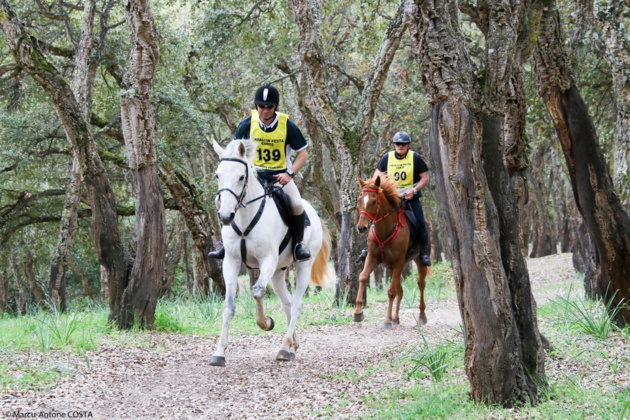 Sports équestres : Retour sur un dimanche chargé dans la région ajaccienne