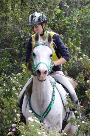 Sports équestres : Retour sur un dimanche chargé dans la région ajaccienne Sports équestres : Retour sur un dimanche chargé dans la région ajaccienne