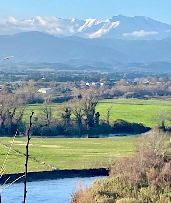 (Denis Viviani) (Denis Viviani)