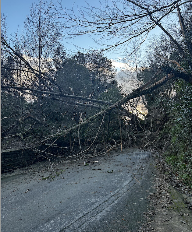 Vallée de Lota - Éboulement important entre San Martinu et Figarella