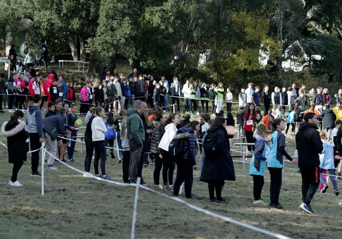 Archives Mario Grazi Archives Mario Grazi