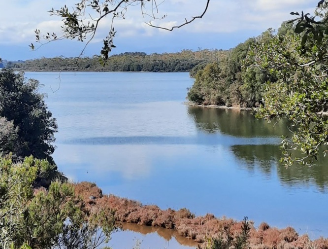 Haute-Corse : la pêche et la commercialisation des coquillages interdites à l’étang de Diana