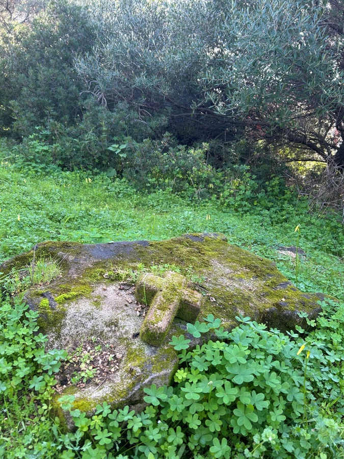Ajaccio : Une association au chevet des 150 chapelles et sépultures de la route des Sanguinaires