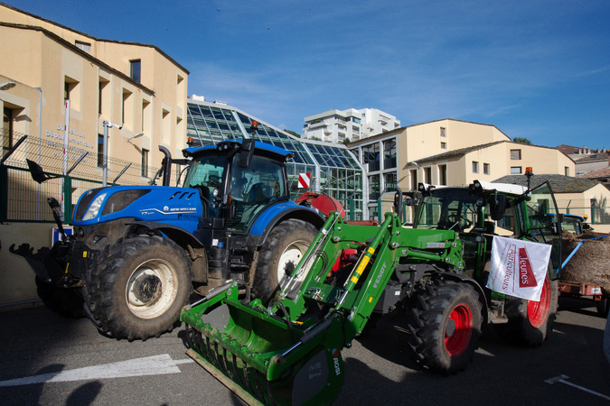 Photo : Gérard Baldocchi