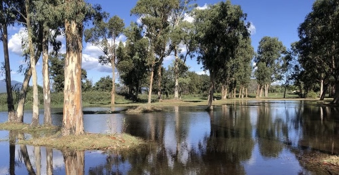 Les récentes inondations à Prunelli-di-Fiurm'Orbu, en en Plaine Orientale en Haute-Corse. Les récentes inondations à Prunelli-di-Fiurm'Orbu, en en Plaine Orientale en Haute-Corse.