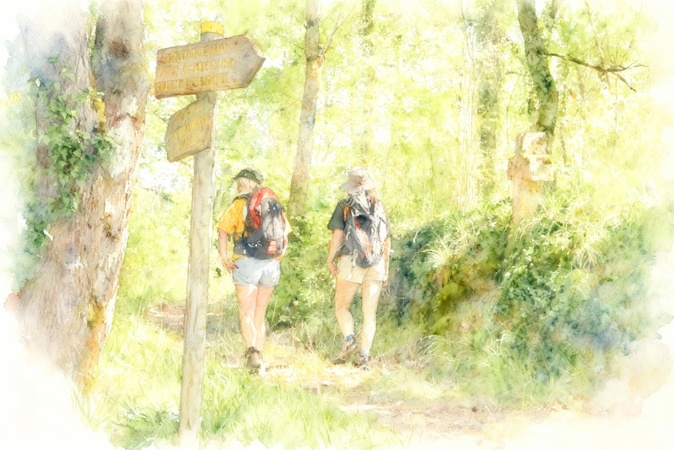 Crédit : Cità di Bastia