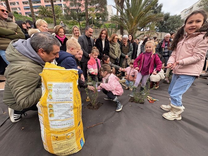 À Ajaccio, le parc botanique Armand-Berthault renaît et offre à la ville un nouveau poumon vert À Ajaccio, le parc botanique Armand-Berthault renaît et offre à la ville un nouveau poumon vert