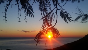 U tempu in Corsica U tempu in Corsica