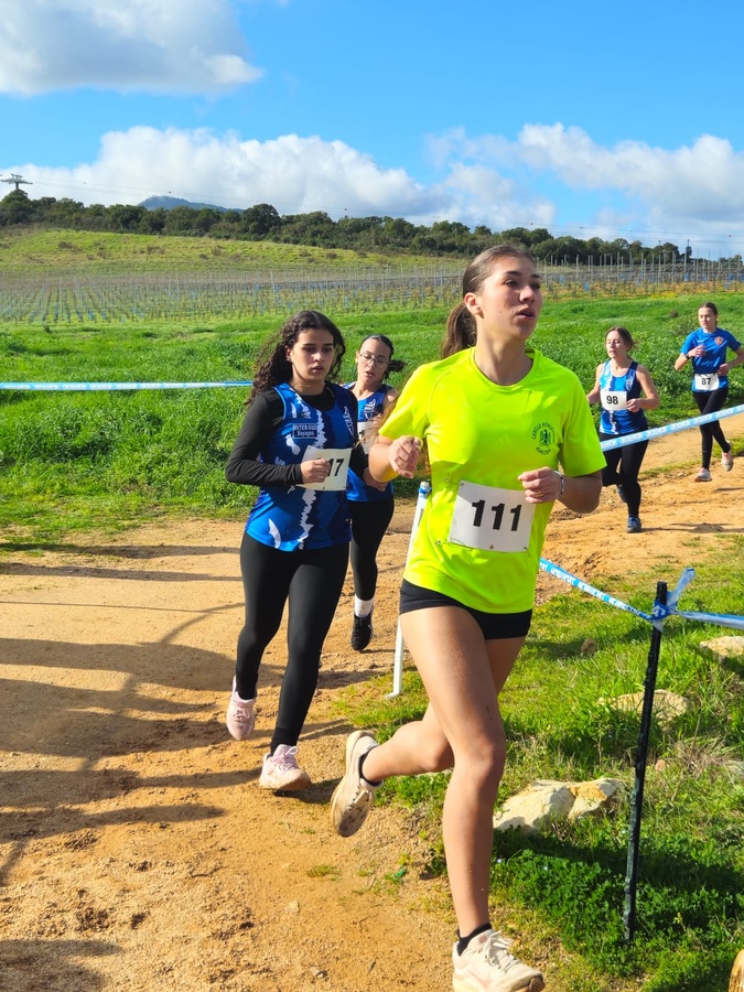 Cross- country : Plus de 400 participants dans les vignes du Domaine Peraldi à Ajaccio Cross- country : Plus de 400 participants dans les vignes du Domaine Peraldi à Ajaccio