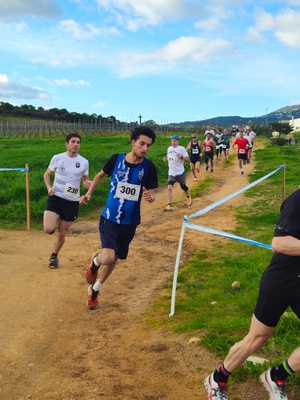 Cross- country : Plus de 400 participants dans les vignes du Domaine Peraldi à Ajaccio