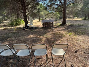 Elle donne sa pinède à la paroisse : à Calvi, un projet pour les jeunes voit le jour