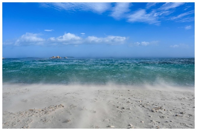 Rafales de vent impressionnantes à Portivechju, mais sous un beau soleil… (Chantal Portaz Biancarelli - @Chantal Portaz Photographie)