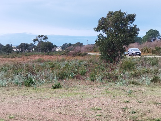 C'est ici, en bordure de la D468 (la route qui relie Saint-Cyprien à Pinarello) que la station d'épuration de Lecci doit voir le jour.