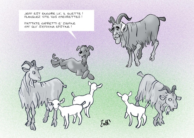 Le dessin de Battì : "planquez vite vos chevrettes" 