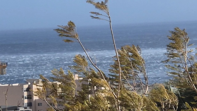 (Françoise Geronimi)