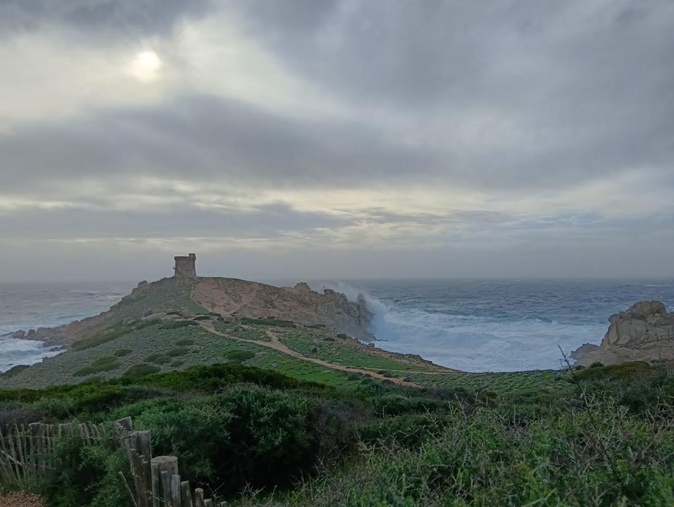 À Cargese, sur le chemin de Puntiglione (Alexandra Conforto)