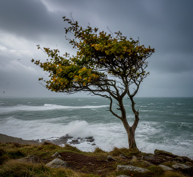 Photo : Hyacinthe Sambroni