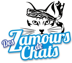 Ajaccio Des z'amours de chats Ajaccio Des z'amours de chats