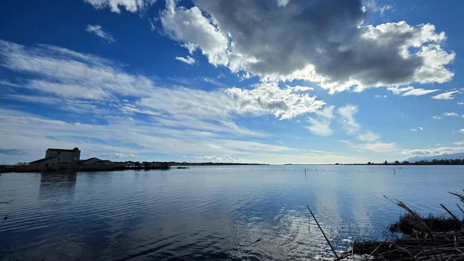 L'étang de Chjurlinu à Biguglia (Sabrina Mariani)