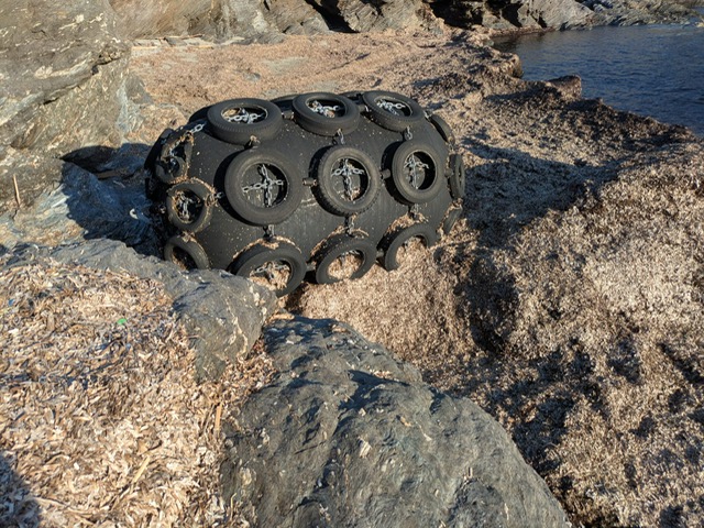 Photo : Association Protection Marine Capicorsu