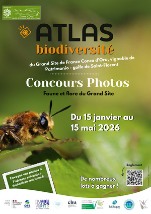 Grand Site de France Conca D’Oru : un concours photos pour valoriser le patrimoine naturel du territoire Grand Site de France Conca D’Oru : un concours photos pour valoriser le patrimoine naturel du territoire